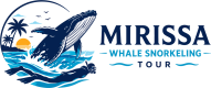 Mirissa Whale Snorkeling Tour