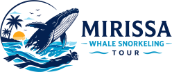 Mirissa Whale Snorkeling Tour